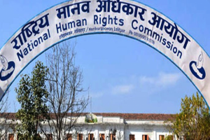 मौलिक हक कार्यान्वयन गर्न २० बुँदे सिफारिस
