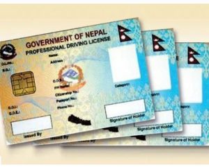 सवारी चालक अनुमतिपत्रको अनलाइन फाराम बन्द