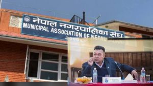 नेपाल नगरपालिका संघले देशभरका मेयर र उपमेयरहरुको कोरोना बीमा गरिदिने