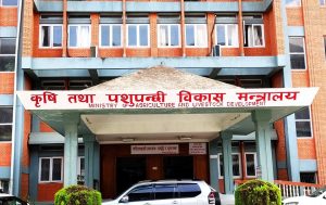 कृषिजन्य वस्तुको ढुवानी र बिक्रीको व्यवस्था मिलाउन कृषि मन्त्रालयद्वारा गृहलाई आग्रह