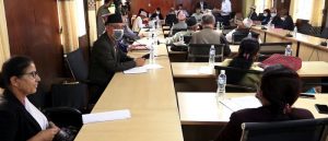 निजामती सेवा विधेयक समितिबाट पारित