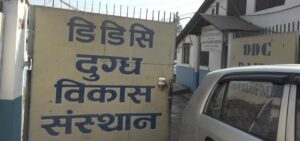 डिडिसीको ६० हजार लिटर घ्यू निर्यात