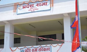 दुई विधेयक सर्वसमतिले पारित दुई विधेयक सर्वसमतिले पारित