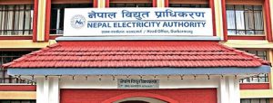 रुग्ण आयोजनाबाट हर्जना नलिन आयोगको निर्देशन रुग्ण आयोजनाबाट हर्जना नलिन आयोगको निर्देशन