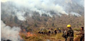 मनाङमा जंगलकाे आगो निभाउन बनाइयाे अग्निरेखा, नियन्त्रण भएन