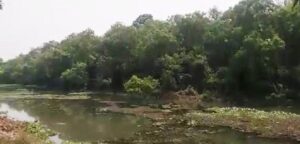 प्यारातालमा भारतीय दाबी – विवाद सुल्झाउन आग्रह