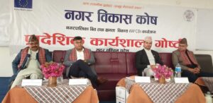 स्थानिय सरकारको पुर्वाधार निर्माणमा पुजिगत साझादारिता  जरुरी