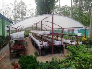 कृषि शिक्षकको उच्च प्रविधियुक्त ‘हाइटेक’ नर्सरी कृषि शिक्षकको उच्च प्रविधियुक्त ‘हाइटेक’ नर्सरी