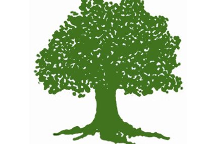 के आधारमा सर्वोच्चले गगन थापालाई आधिकारिकता दियो ?