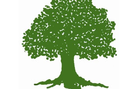 के आधारमा सर्वोच्चले गगन थापालाई आधिकारिकता दियो ?